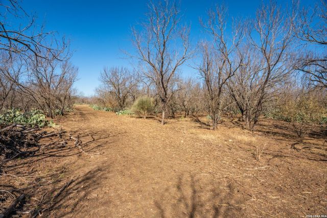 224 County Road 662, Devine, TX 78016