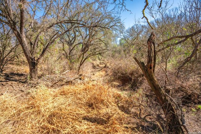 224 County Road 662, Devine, TX 78016