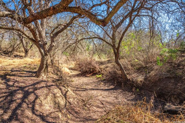 224 County Road 662, Devine, TX 78016