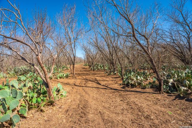 224 County Road 662, Devine, TX 78016