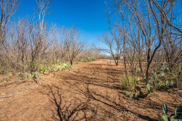 224 County Road 662, Devine, TX 78016