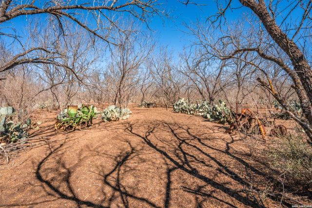 224 County Road 662, Devine, TX 78016