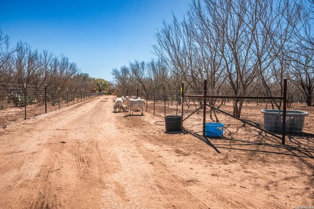 224 County Road 662, Devine, TX 78016