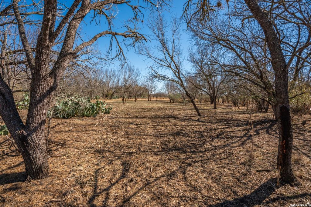 224 County Road 662, Devine, TX 78016