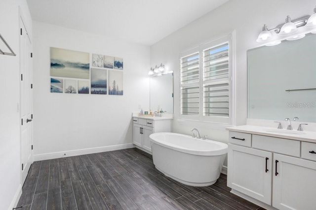 16247 NOVEMBER RAIN COURT, Land O Lakes, FL 34638