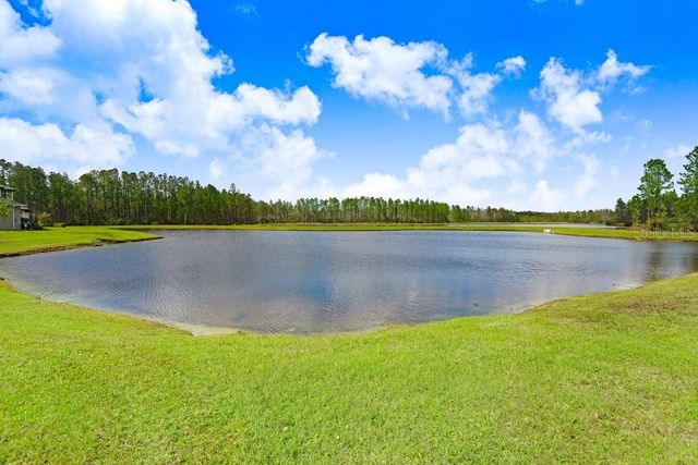 16247 NOVEMBER RAIN COURT, Land O Lakes, FL 34638