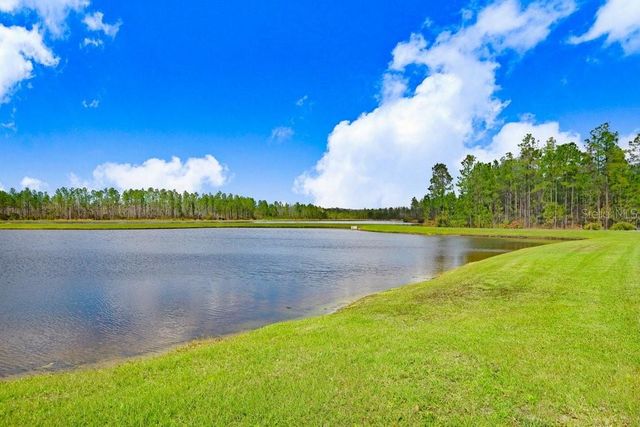 16247 NOVEMBER RAIN COURT, Land O Lakes, FL 34638