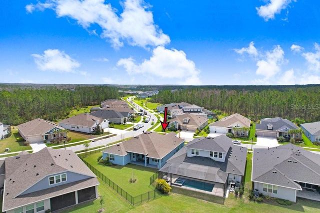 16247 NOVEMBER RAIN COURT, Land O Lakes, FL 34638