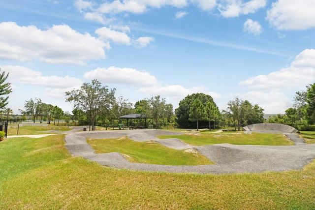 16247 NOVEMBER RAIN COURT, Land O Lakes, FL 34638