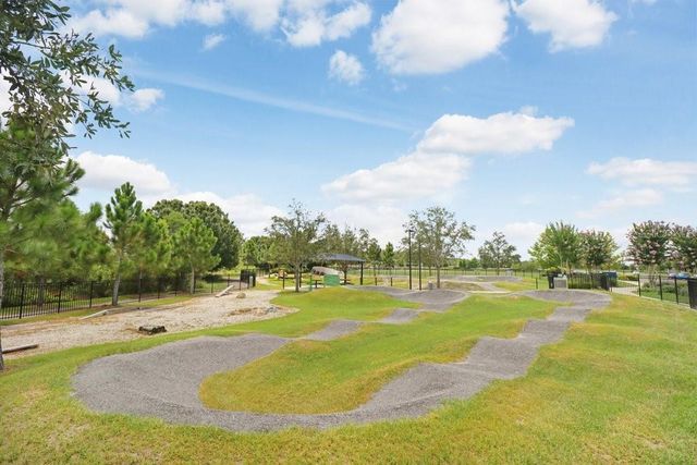 16247 NOVEMBER RAIN COURT, Land O Lakes, FL 34638