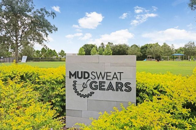 16247 NOVEMBER RAIN COURT, Land O Lakes, FL 34638