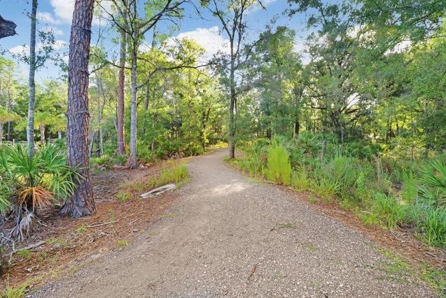 16247 NOVEMBER RAIN COURT, Land O Lakes, FL 34638