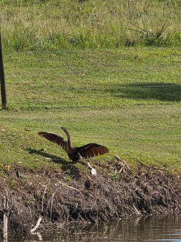 5274 SE 67th Ave, Okeechobee, FL 34974