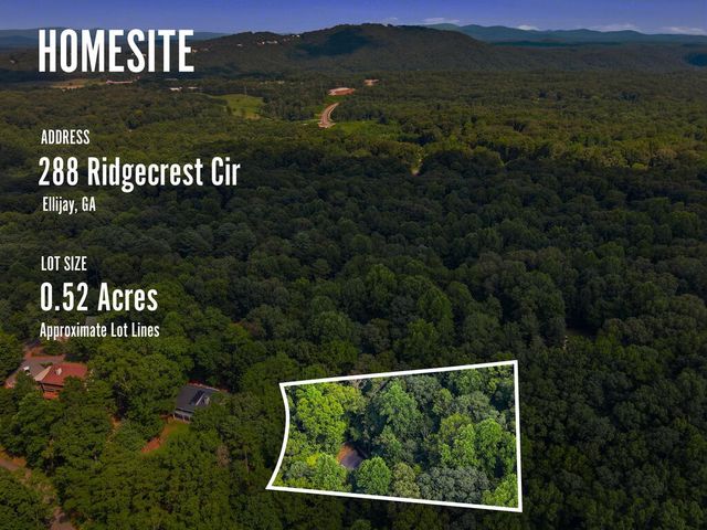 288 Ridgecrest Circle, Ellijay, GA 30540