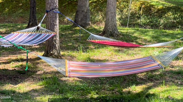 1501 Peach Tree Street, Pigeon Forge, TN 37862