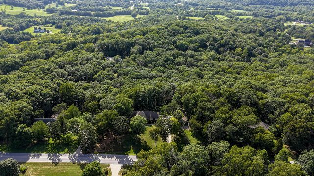 995 S Stanford Drive, Rogersville, MO 65742