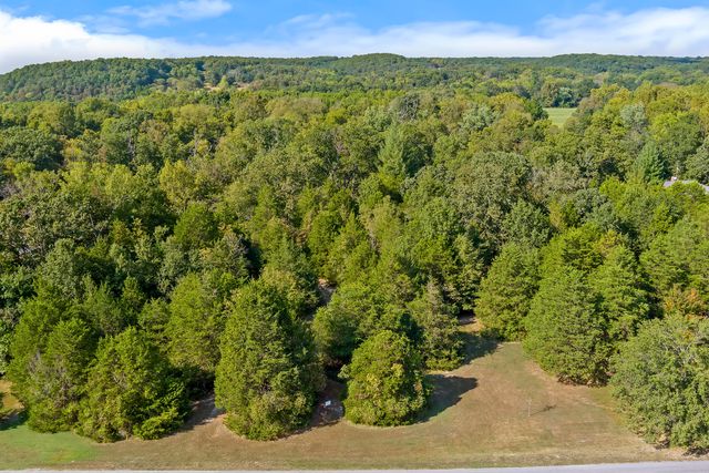 995 S Stanford Drive, Rogersville, MO 65742