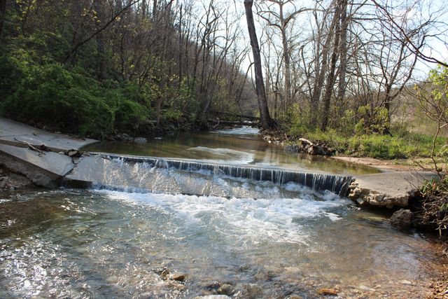 2240 Mease Drive, Reeds Spring, MO 65737