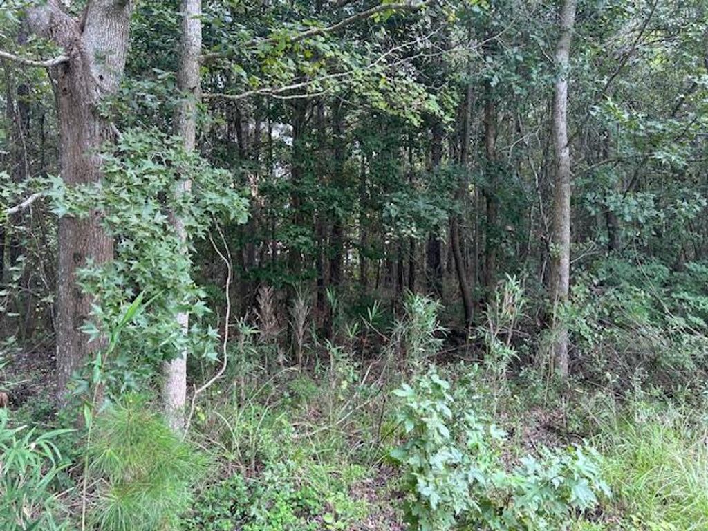 Lot 6 Sheep Island Road, Summerville, SC 29486