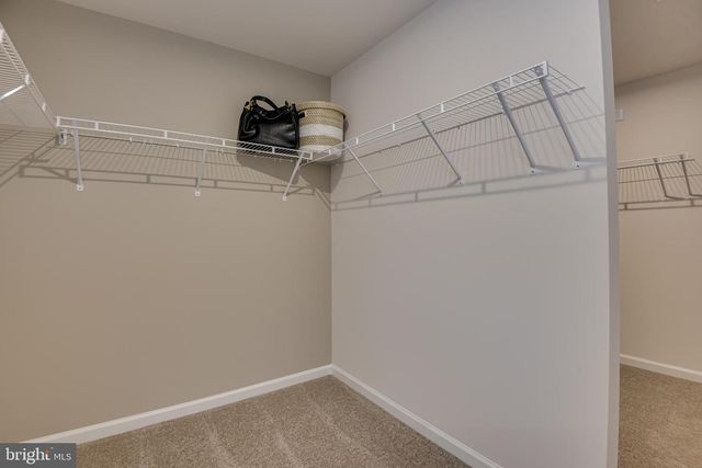 13902 EJAY DR, Brandywine, MD 20613