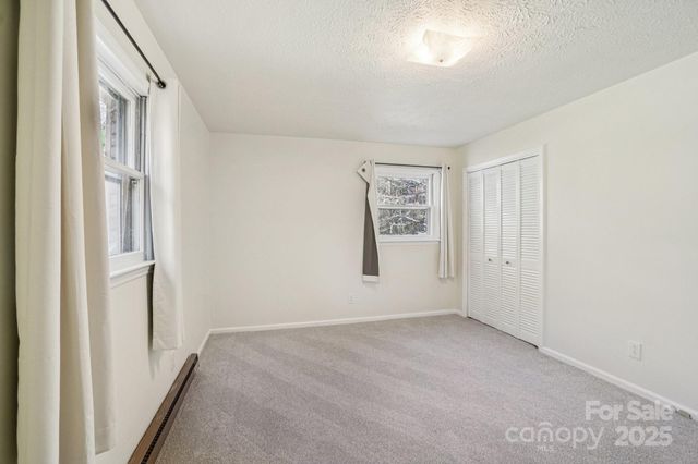 480 Paint Fork Road, Barnardsville, NC 28709