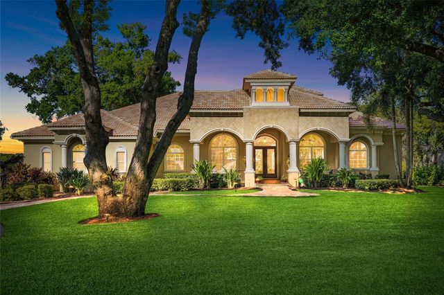 9901 MENANDER WOOD COURT, Odessa, FL 33556