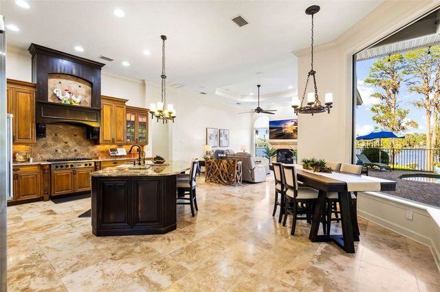 9901 MENANDER WOOD COURT, Odessa, FL 33556