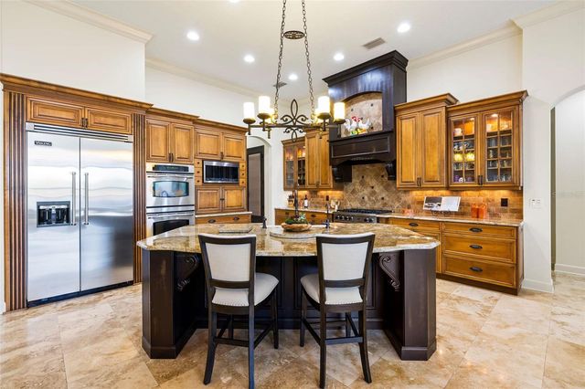 9901 MENANDER WOOD COURT, Odessa, FL 33556