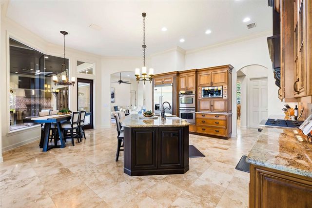 9901 MENANDER WOOD COURT, Odessa, FL 33556