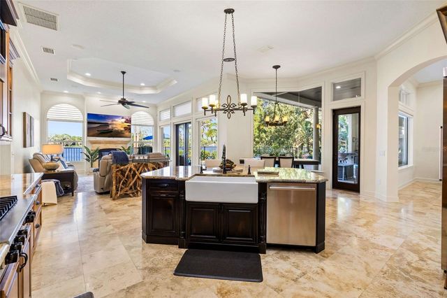 9901 MENANDER WOOD COURT, Odessa, FL 33556