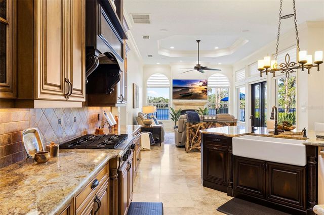 9901 MENANDER WOOD COURT, Odessa, FL 33556