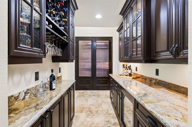 9901 MENANDER WOOD COURT, Odessa, FL 33556