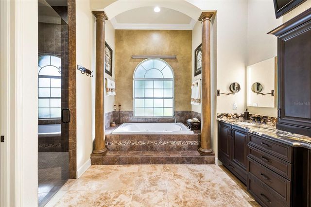 9901 MENANDER WOOD COURT, Odessa, FL 33556