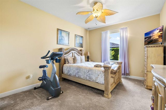 9901 MENANDER WOOD COURT, Odessa, FL 33556