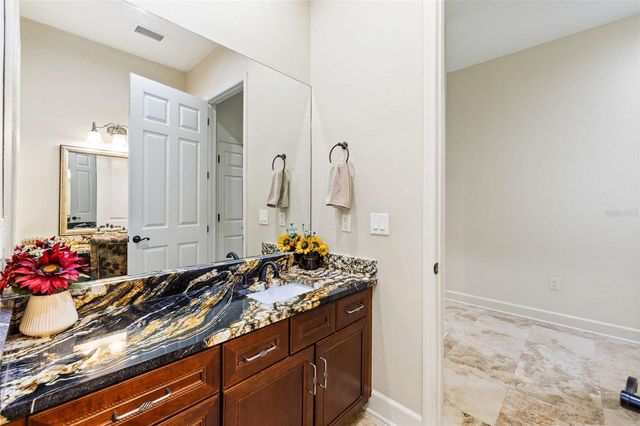 9901 MENANDER WOOD COURT, Odessa, FL 33556