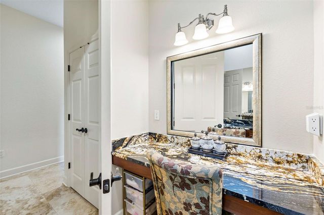 9901 MENANDER WOOD COURT, Odessa, FL 33556