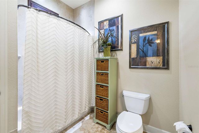 9901 MENANDER WOOD COURT, Odessa, FL 33556