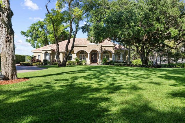 9901 MENANDER WOOD COURT, Odessa, FL 33556