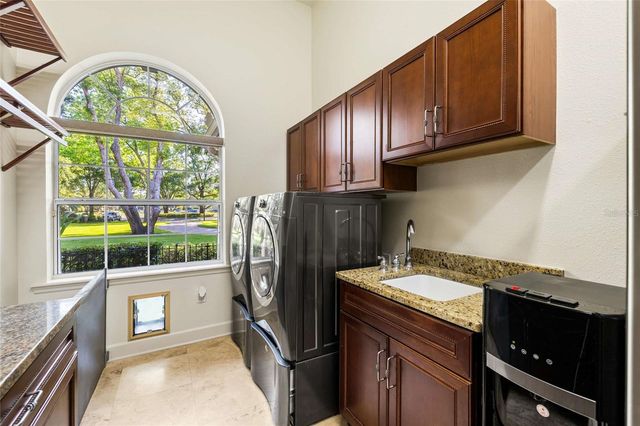 9901 MENANDER WOOD COURT, Odessa, FL 33556