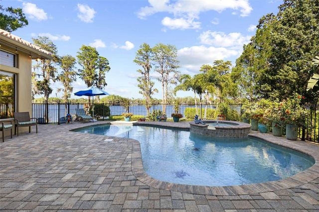 9901 MENANDER WOOD COURT, Odessa, FL 33556