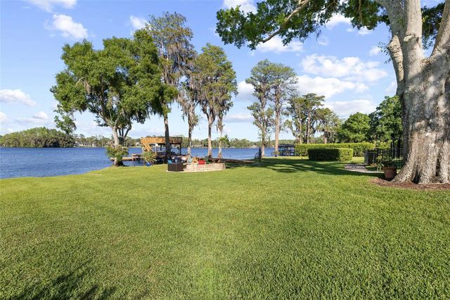 9901 MENANDER WOOD COURT, Odessa, FL 33556