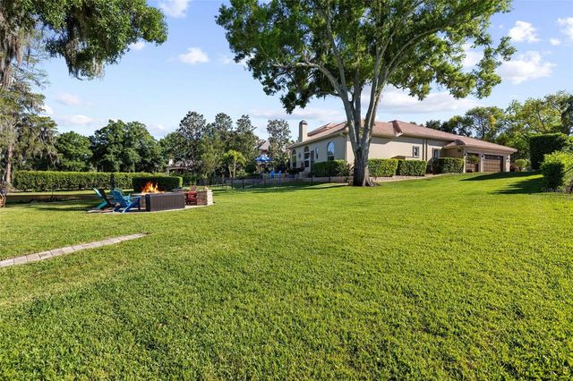 9901 MENANDER WOOD COURT, Odessa, FL 33556