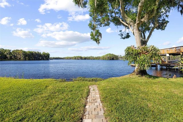 9901 MENANDER WOOD COURT, Odessa, FL 33556