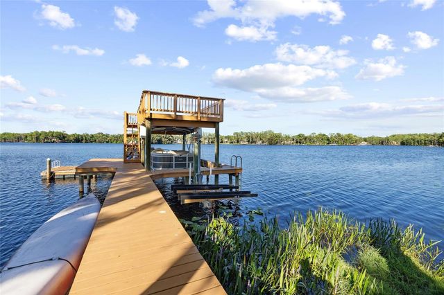 9901 MENANDER WOOD COURT, Odessa, FL 33556