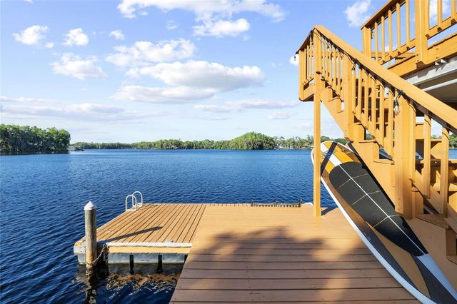 9901 MENANDER WOOD COURT, Odessa, FL 33556