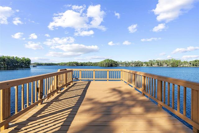 9901 MENANDER WOOD COURT, Odessa, FL 33556