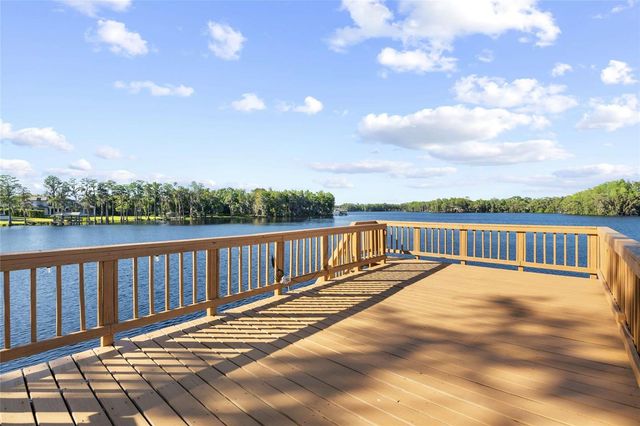 9901 MENANDER WOOD COURT, Odessa, FL 33556