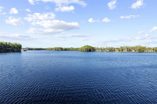 9901 MENANDER WOOD COURT, Odessa, FL 33556