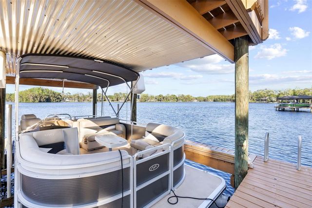 9901 MENANDER WOOD COURT, Odessa, FL 33556