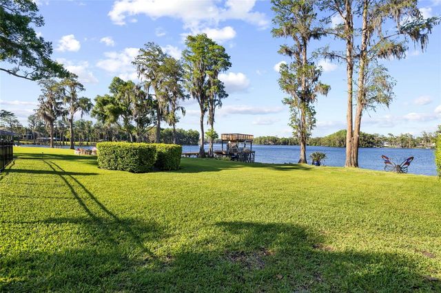 9901 MENANDER WOOD COURT, Odessa, FL 33556